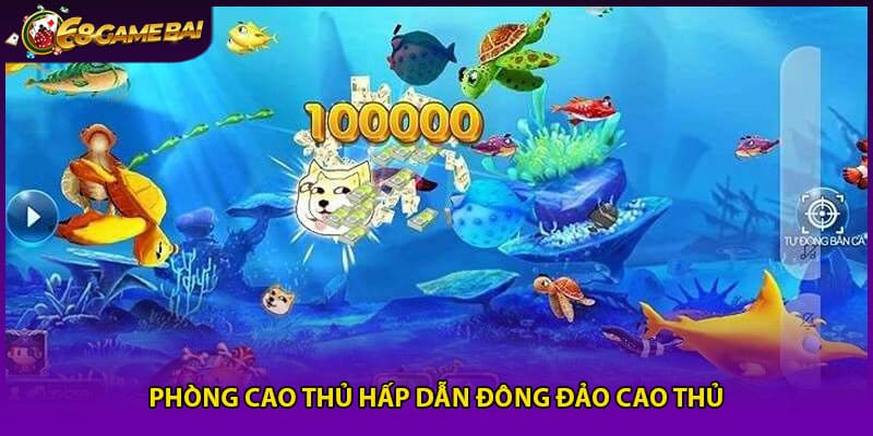 Phòng cao thủ hấp dẫn đông đảo cao thủ